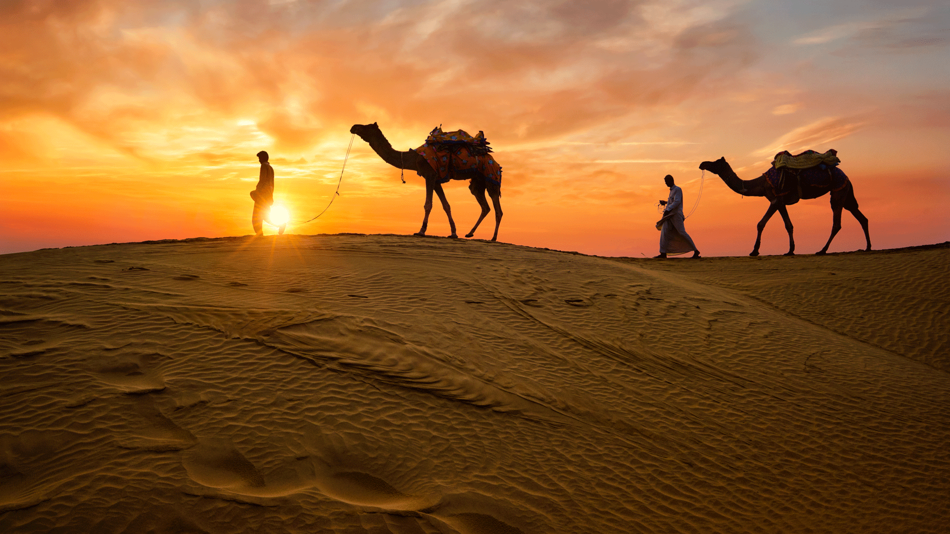 Rajasthan - Royal Wellness Experiences